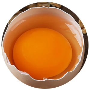 满丼肉剧场日料简餐加盟费